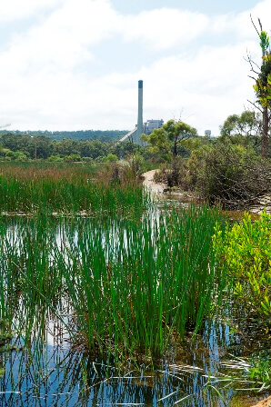 Anglesea Power Station Site