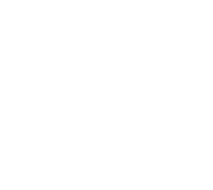 People Icon
