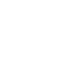 People Icon