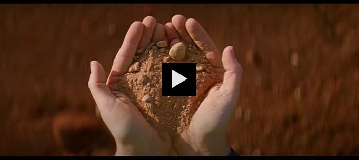 Our purpose video